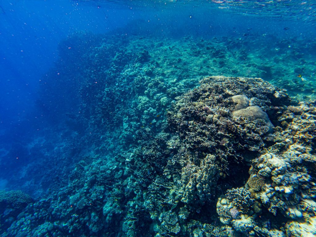 Getting to Labuan Bajo for Your Cruise