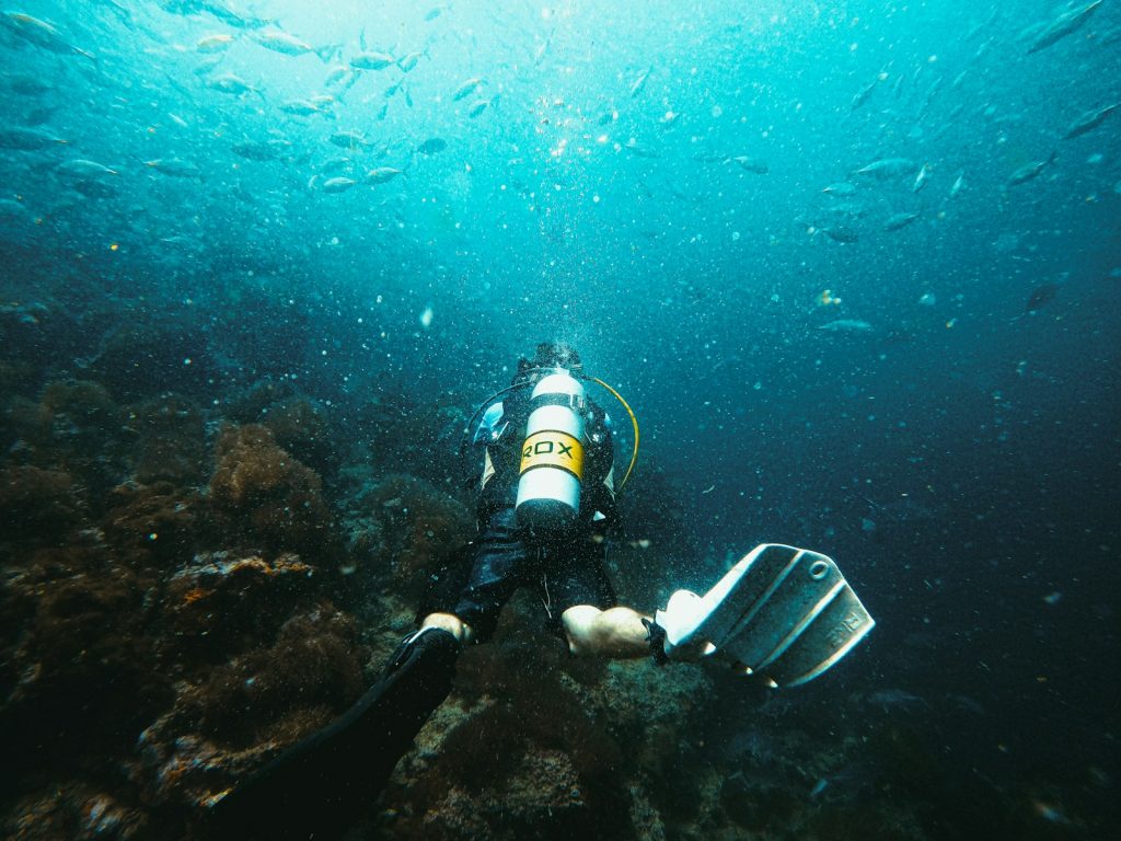 How Much Does a Komodo Cruise Cost?