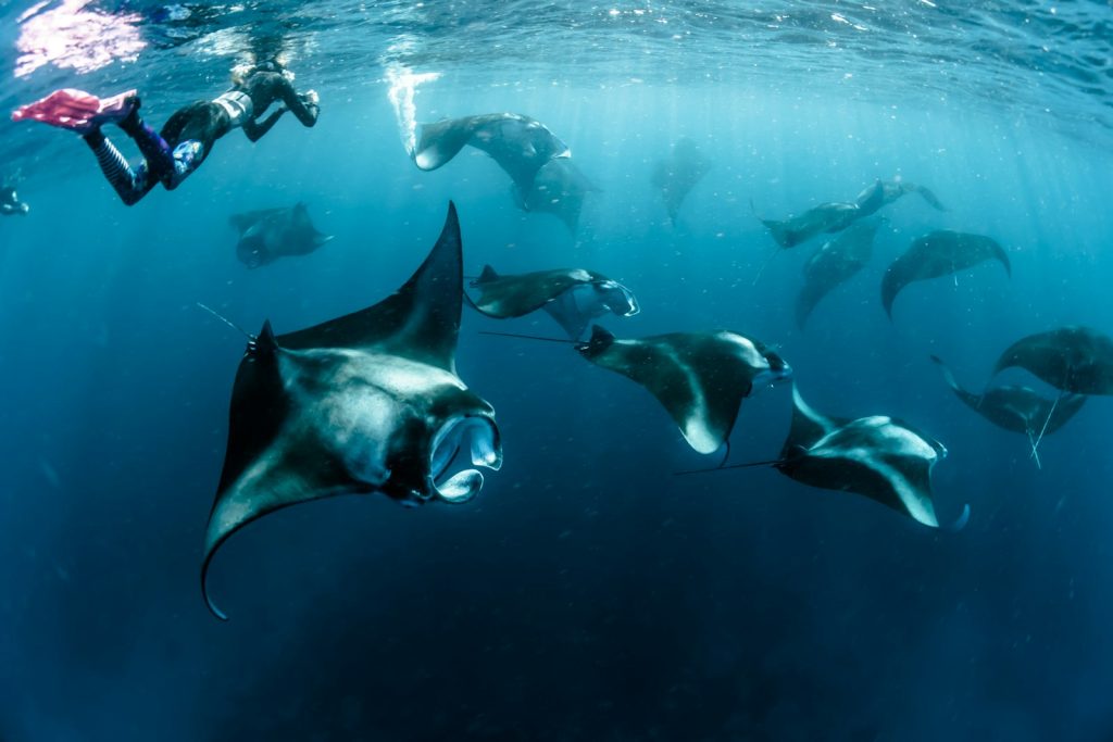 Komodo Cruise Cabins & Comfort